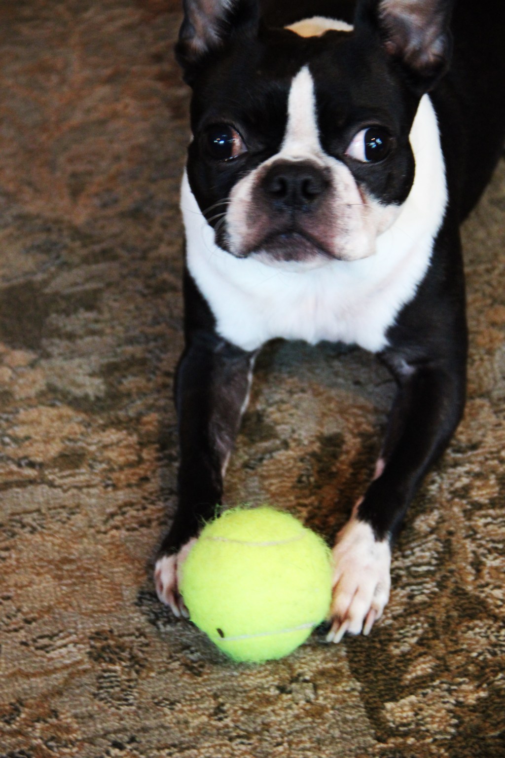 Family: Girl goes&nbsp;South