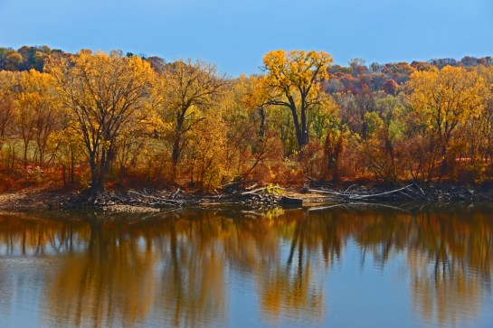 Mississippi Reflections