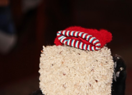 Capture the ornament2