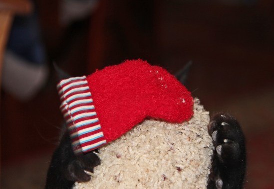 Capture the ornament3