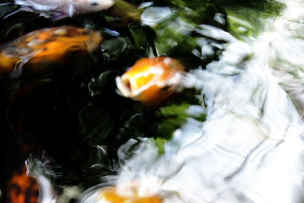 lines and swirls into shapes