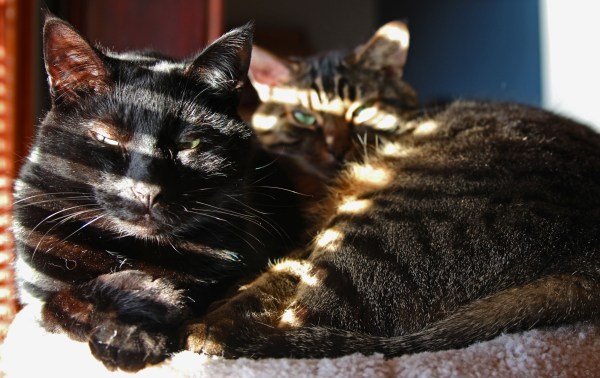 baby it is cold outside