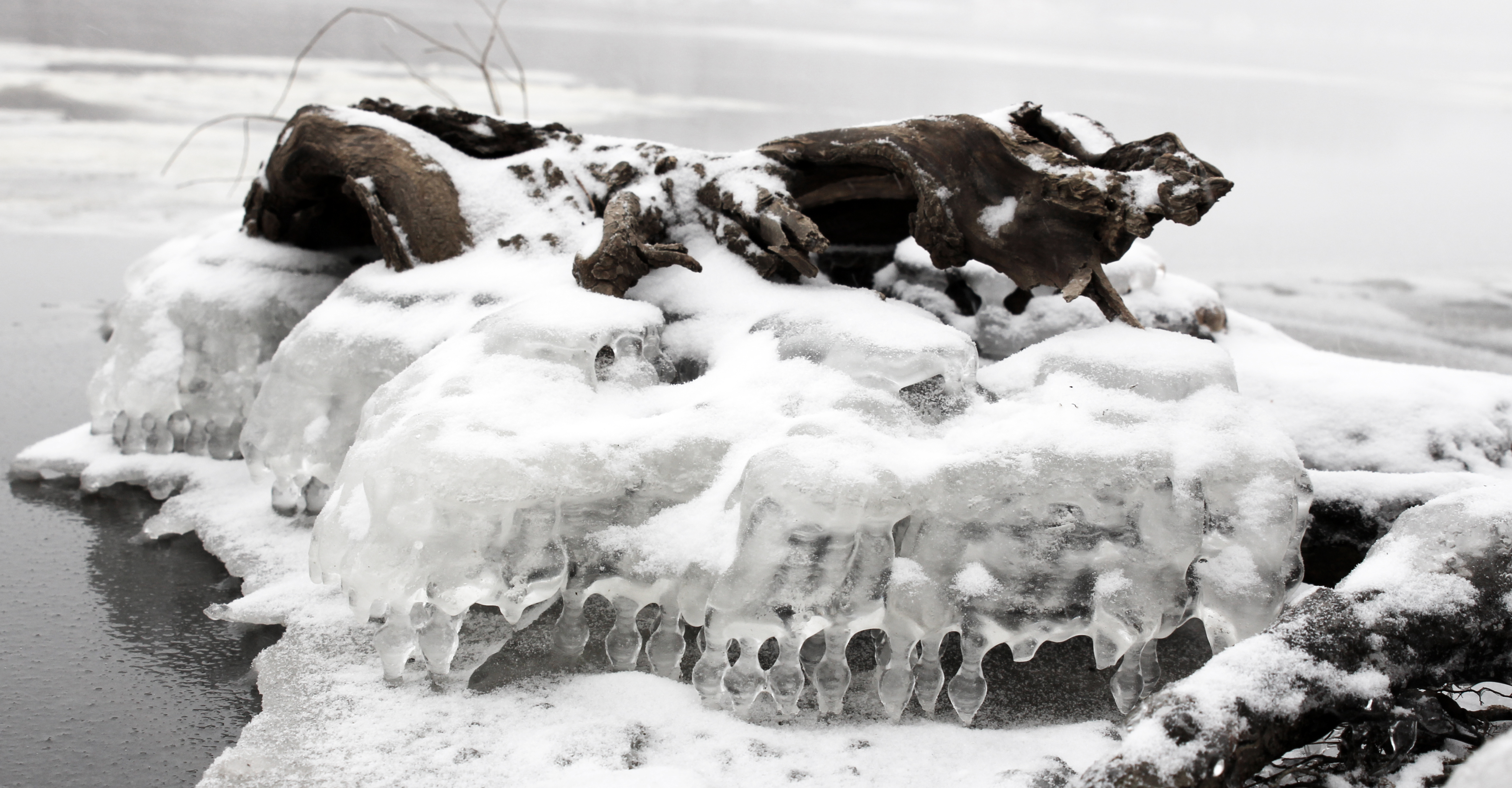 The dragon of ice island