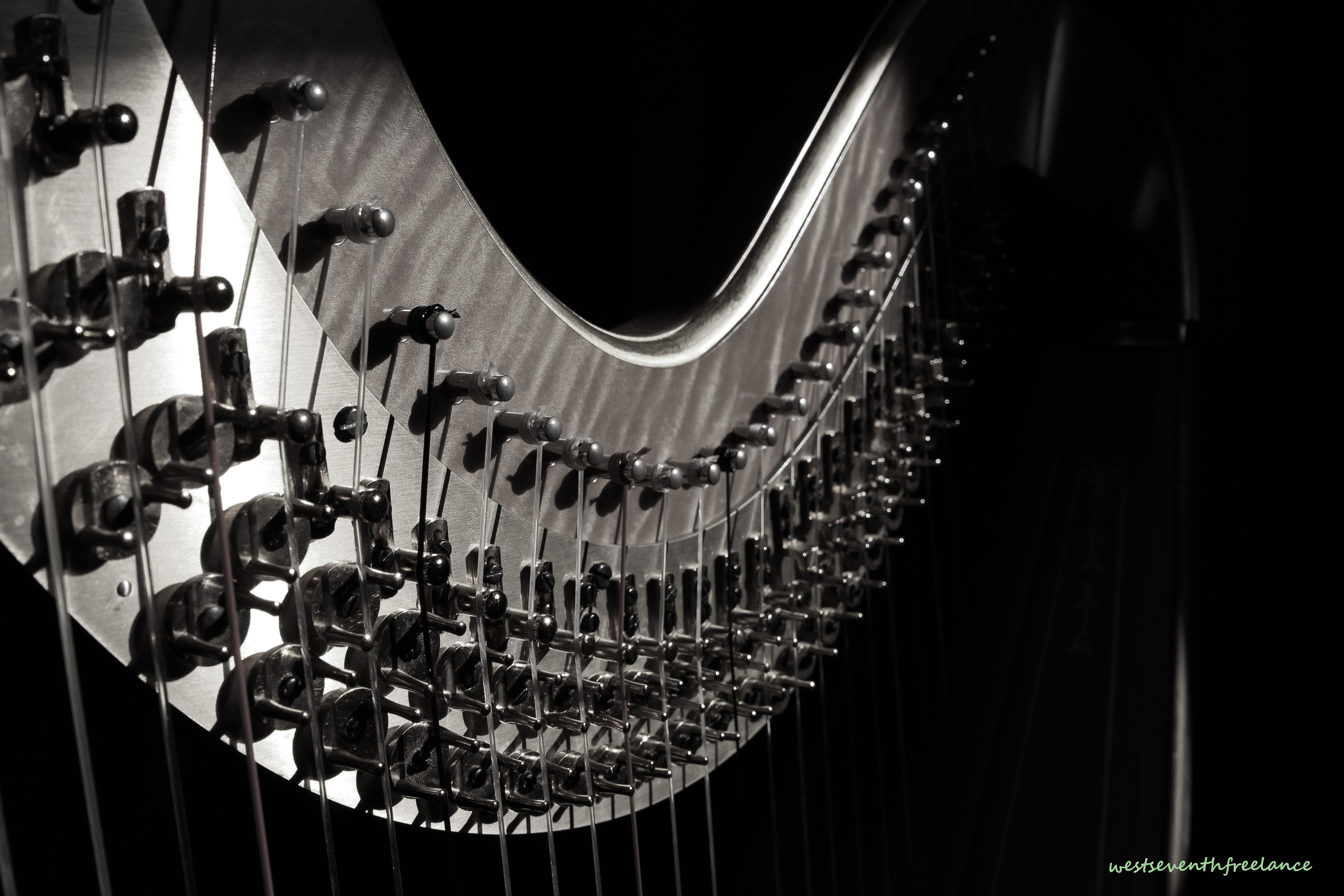 harp in shadow bw wm