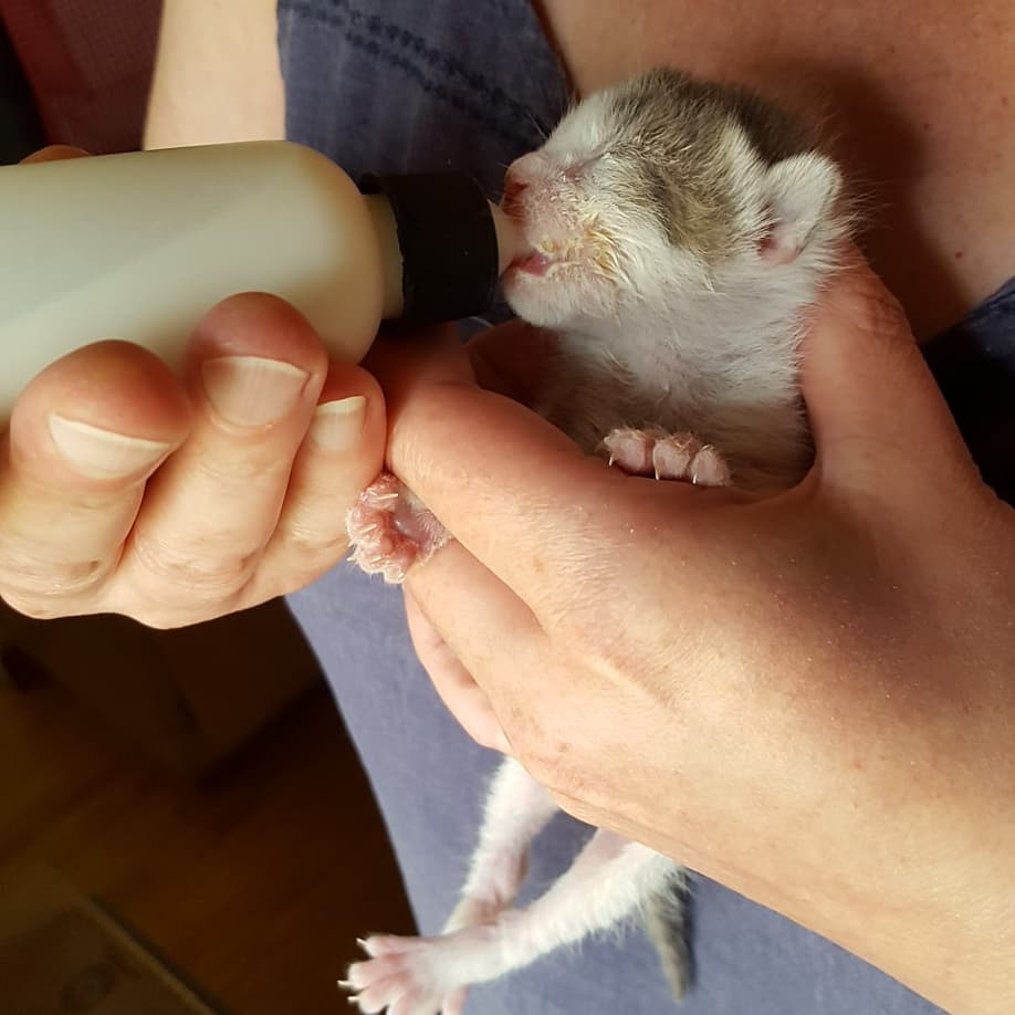 IMG_20190720_163218_988